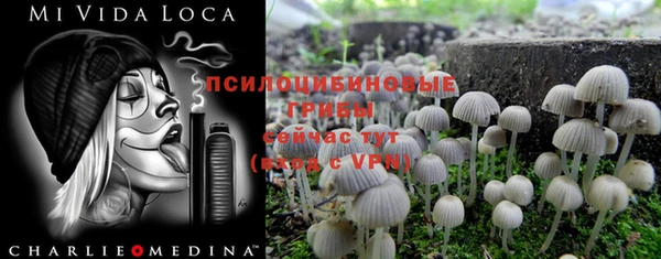 ешки Мегион