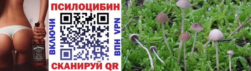 Псилоцибиновые грибы MAGIC MUSHROOMS  Нерехта 